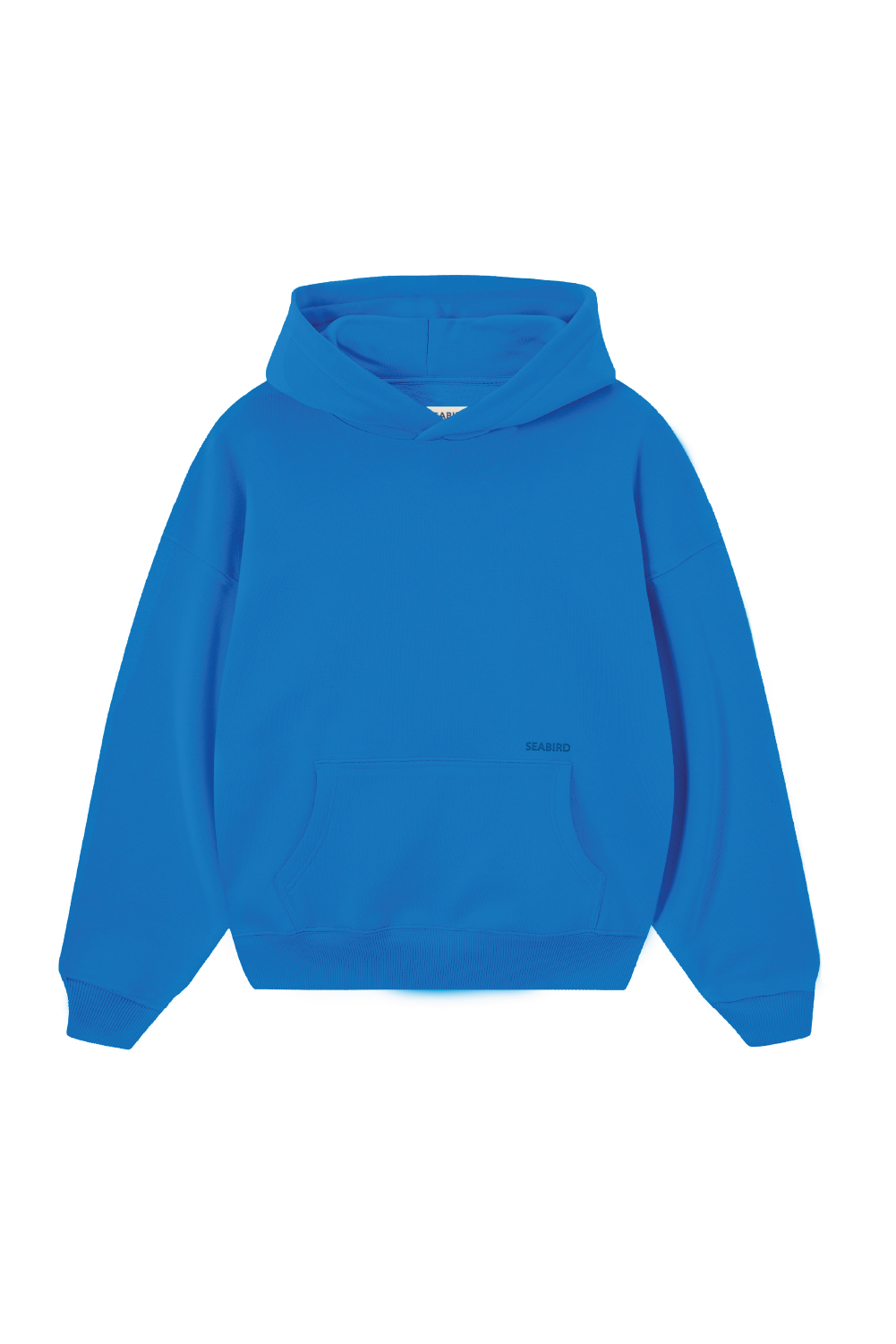 Heavy Basic Hoodie Royal